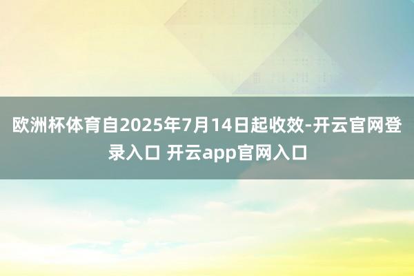 欧洲杯体育自2025年7月14日起收效-开云官网登录入口 开云app官网入口