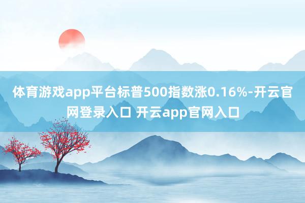 体育游戏app平台标普500指数涨0.16%-开云官网登录入口 开云app官网入口