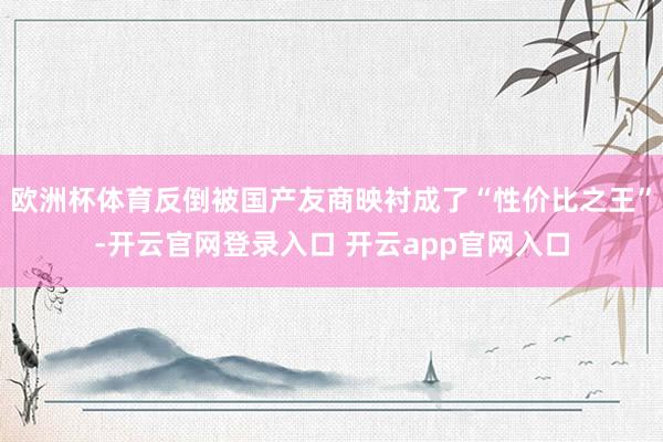 欧洲杯体育反倒被国产友商映衬成了“性价比之王”-开云官网登录入口 开云app官网入口