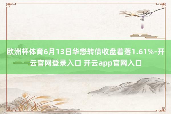 欧洲杯体育6月13日华懋转债收盘着落1.61%-开云官网登录入口 开云app官网入口