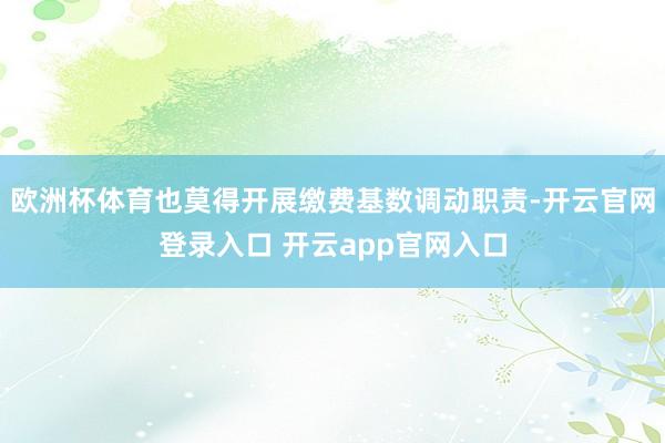 欧洲杯体育也莫得开展缴费基数调动职责-开云官网登录入口 开云app官网入口